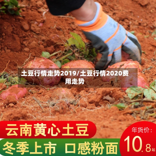 土豆行情走势2019/土豆行情2020费用走势