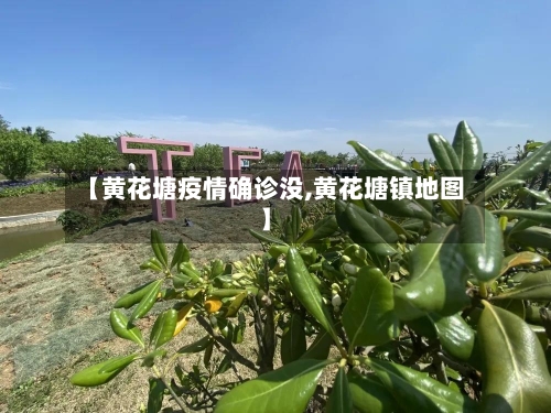 【黄花塘疫情确诊没,黄花塘镇地图】