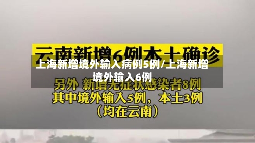 上海新增境外输入病例5例/上海新增境外输入6例