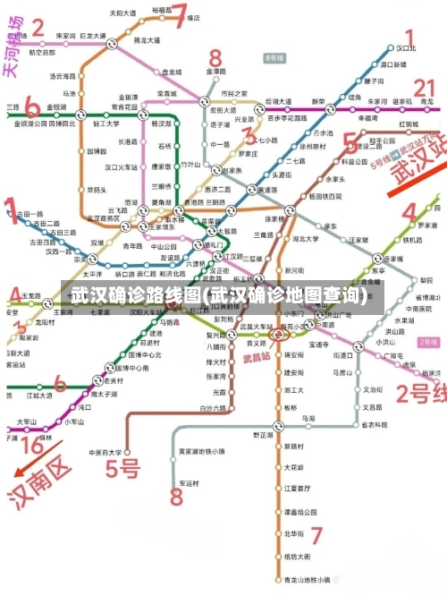 武汉确诊路线图(武汉确诊地图查询)