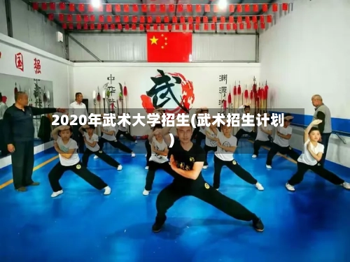 2020年武术大学招生(武术招生计划)