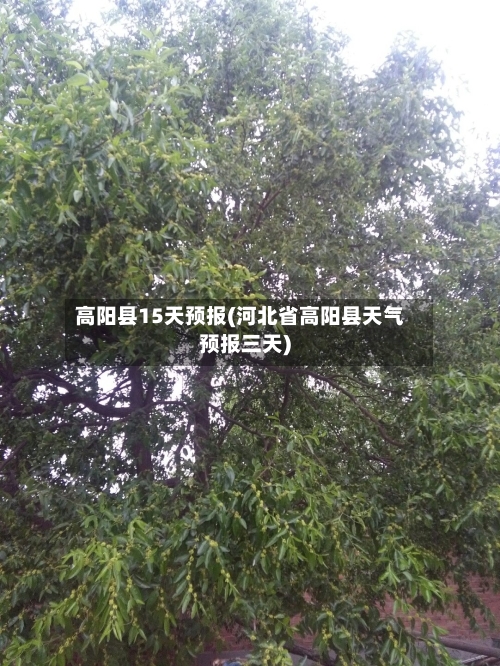 高阳县15天预报(河北省高阳县天气预报三天)