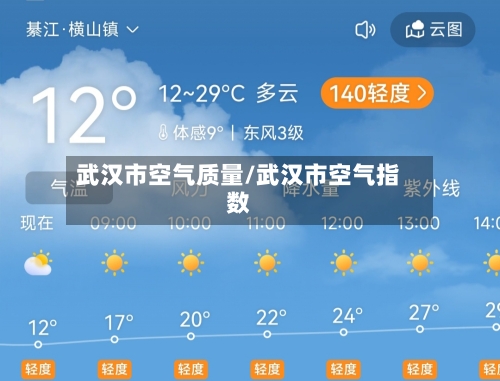 武汉市空气质量/武汉市空气指数