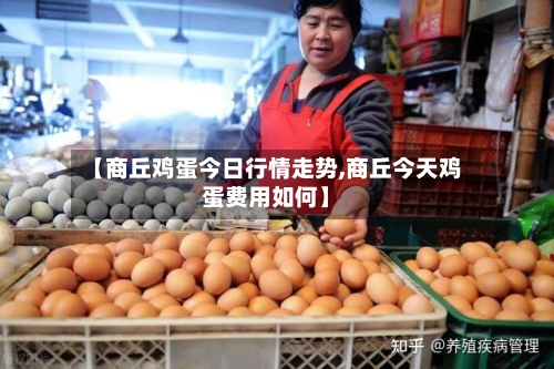 【商丘鸡蛋今日行情走势,商丘今天鸡蛋费用如何】