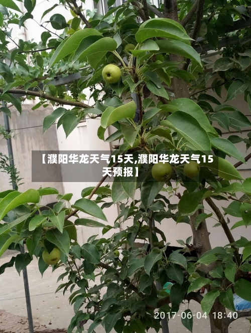 【濮阳华龙天气15天,濮阳华龙天气15天预报】