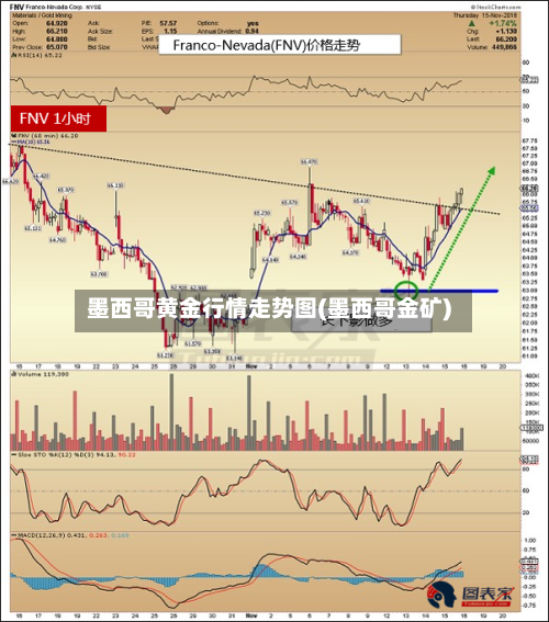 墨西哥黄金行情走势图(墨西哥金矿)