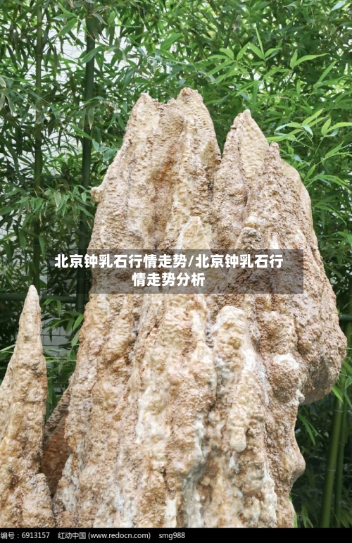 北京钟乳石行情走势/北京钟乳石行情走势分析