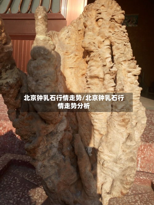 北京钟乳石行情走势/北京钟乳石行情走势分析