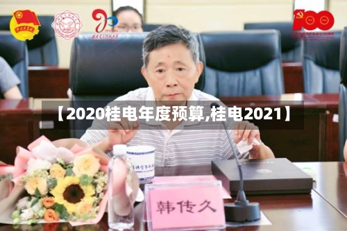 【2020桂电年度预算,桂电2021】