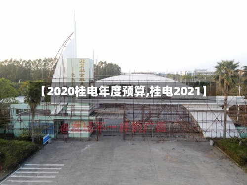 【2020桂电年度预算,桂电2021】