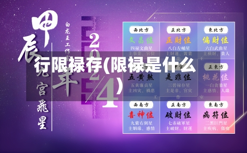 行限禄存(限禄是什么)