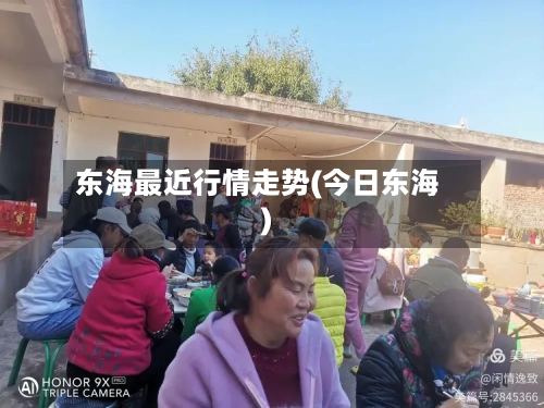 东海最近行情走势(今日东海)
