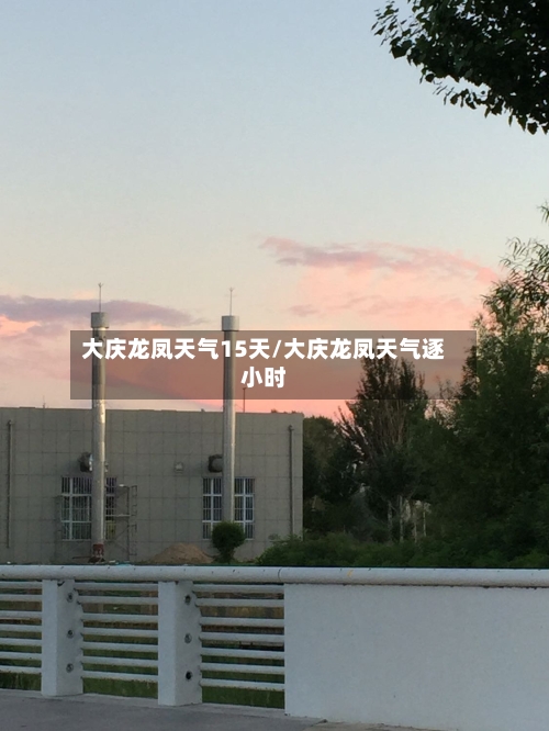 大庆龙凤天气15天/大庆龙凤天气逐小时