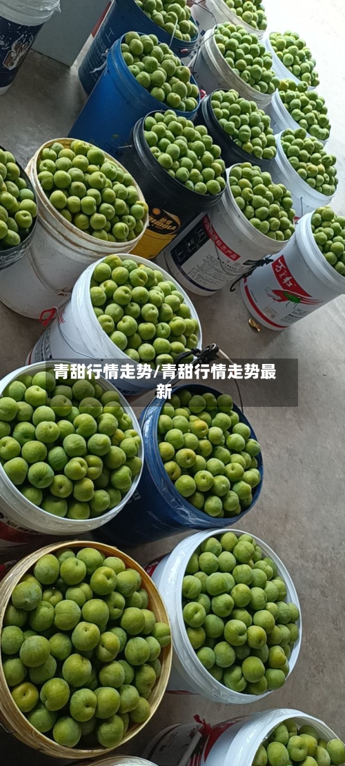 青甜行情走势/青甜行情走势最新