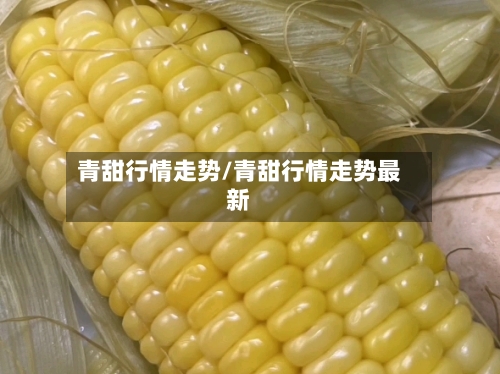 青甜行情走势/青甜行情走势最新