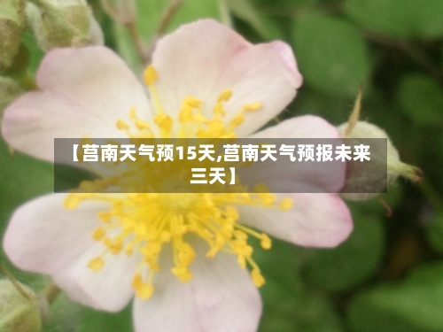【莒南天气预15天,莒南天气预报未来三天】