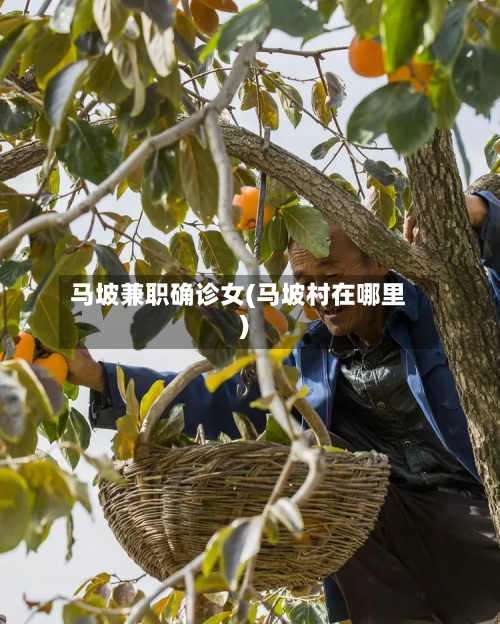 马坡兼职确诊女(马坡村在哪里)