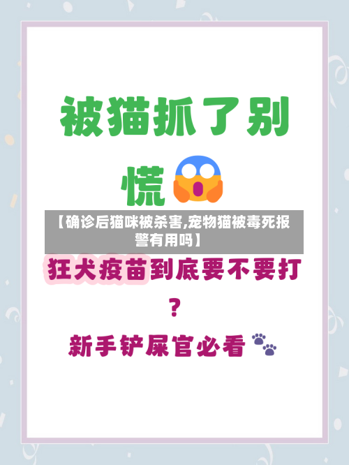 【确诊后猫咪被杀害,宠物猫被毒死报警有用吗】