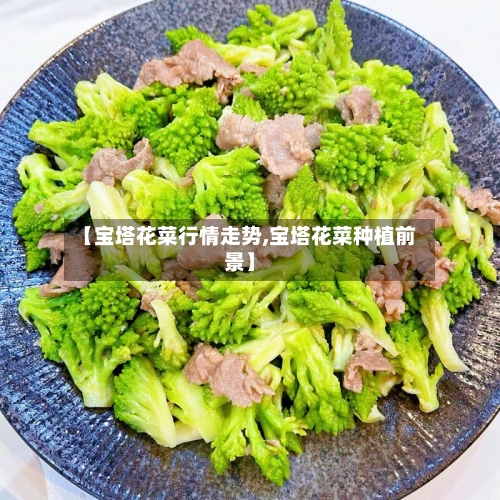 【宝塔花菜行情走势,宝塔花菜种植前景】