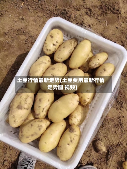 土豆行情最新走势(土豆费用最新行情走势图 视频)