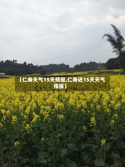 【仁寿天气15天预报,仁寿近15天天气预报】