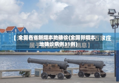 全国各省新增本地确诊(全国新增本地确诊病例31例)