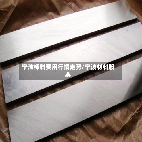 宁波棒料费用行情走势/宁波材料股票