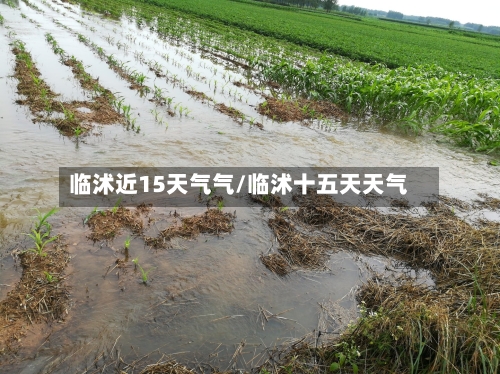 临沭近15天气气/临沭十五天天气