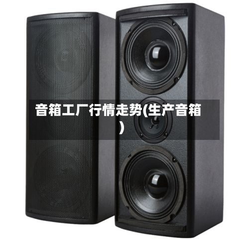 音箱工厂行情走势(生产音箱)