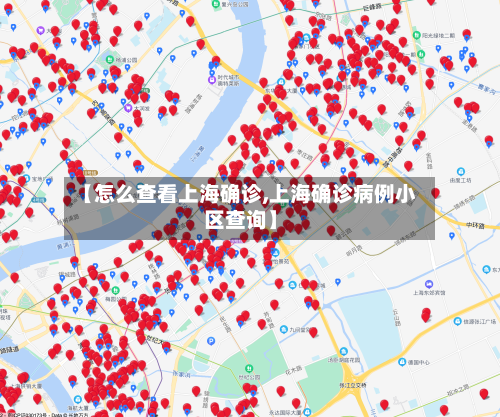 【怎么查看上海确诊,上海确诊病例小区查询】