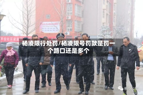 杨凌限行处罚/杨凌限号罚款是罚一个路口还是多个