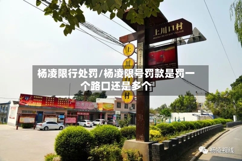 杨凌限行处罚/杨凌限号罚款是罚一个路口还是多个