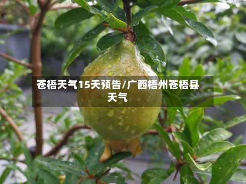 苍梧天气15天预告/广西梧州苍梧县天气