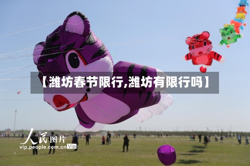 【潍坊春节限行,潍坊有限行吗】