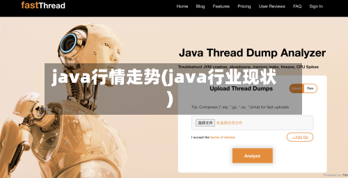 java行情走势(java行业现状)