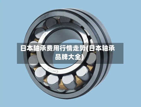 日本轴承费用行情走势(日本轴承品牌大全)