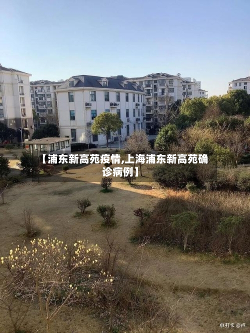 【浦东新高苑疫情,上海浦东新高苑确诊病例】