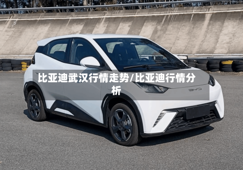 比亚迪武汉行情走势/比亚迪行情分析