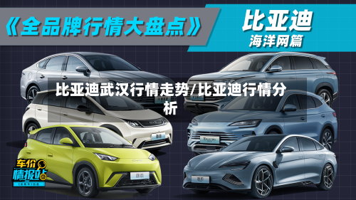 比亚迪武汉行情走势/比亚迪行情分析