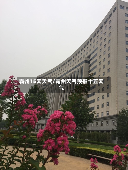 霸州15天天气/霸州天气预报十五天气