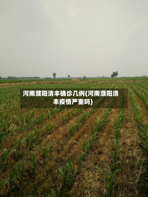 河南濮阳清丰确诊几例(河南濮阳清丰疫情严重吗)