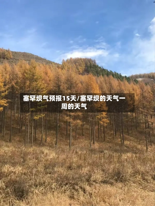 塞罕坝气预报15天/塞罕坝的天气一周的天气