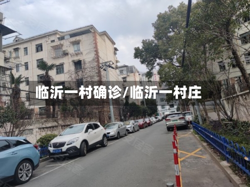 临沂一村确诊/临沂一村庄