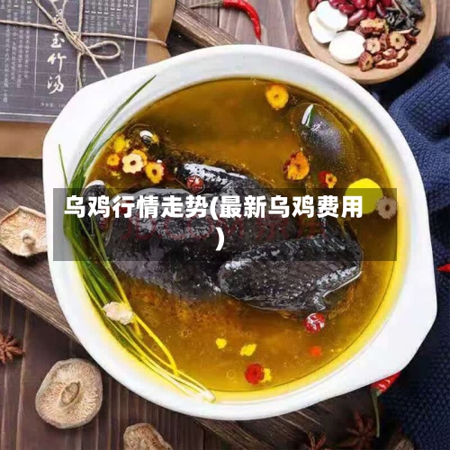 乌鸡行情走势(最新乌鸡费用)