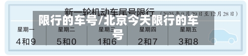 限行的车号/北京今天限行的车号