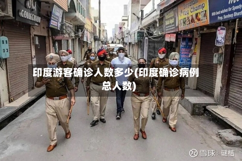 印度游客确诊人数多少(印度确诊病例总人数)