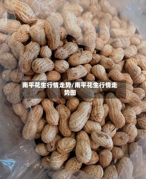 南平花生行情走势/南平花生行情走势图