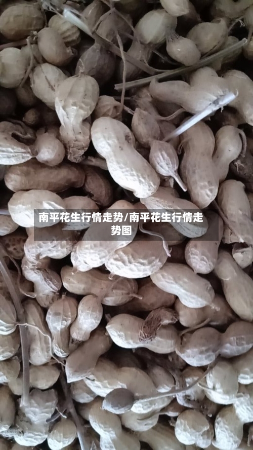 南平花生行情走势/南平花生行情走势图