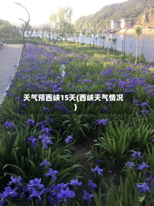 天气预西峡15天(西峡天气情况)