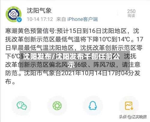 沈阳发布/沈阳发布干部任前公示